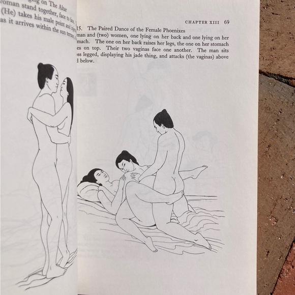 The Tao of Sex Sexual Positions Japanese Culture Reproduction Hygiene Peoples - Picture 3 of 12